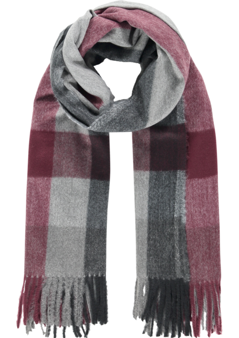 Echarpe - BLACKBERRYWINE - TU