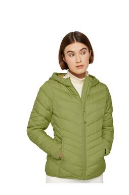 Veste  - NEW PEA GREEN